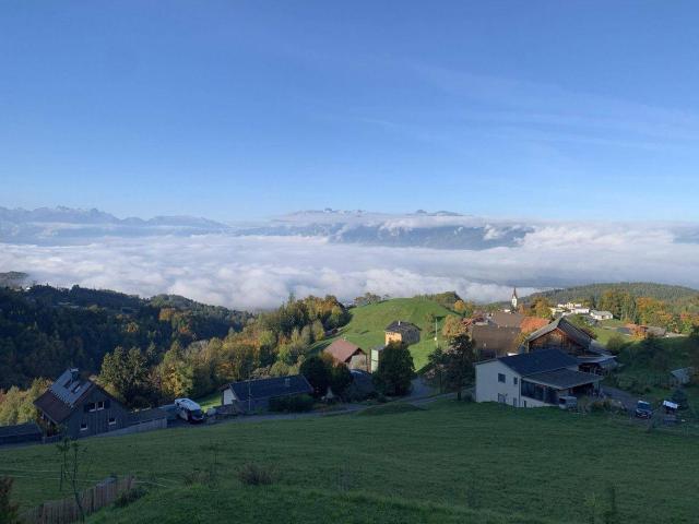 Apartment kaufen in Zwischenwasser, Vorarlberg