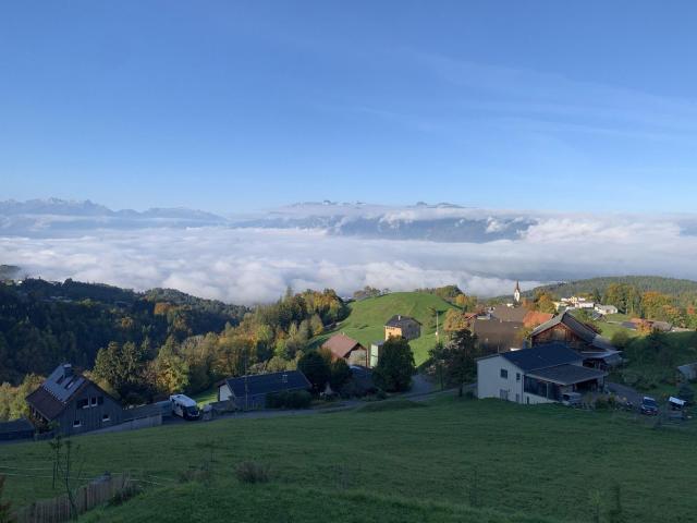 Wohnung kaufen in Zwischenwasser, Vorarlberg