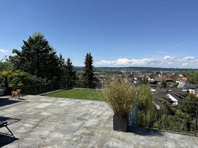 Terrassenwohnung kaufen in Dornach, Solothurn