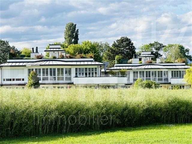 Wohnung mieten in Coppet, Waadt