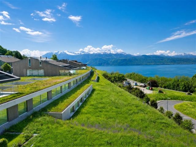 Wohnung kaufen in Bourg-en-Lavaux, Waadt