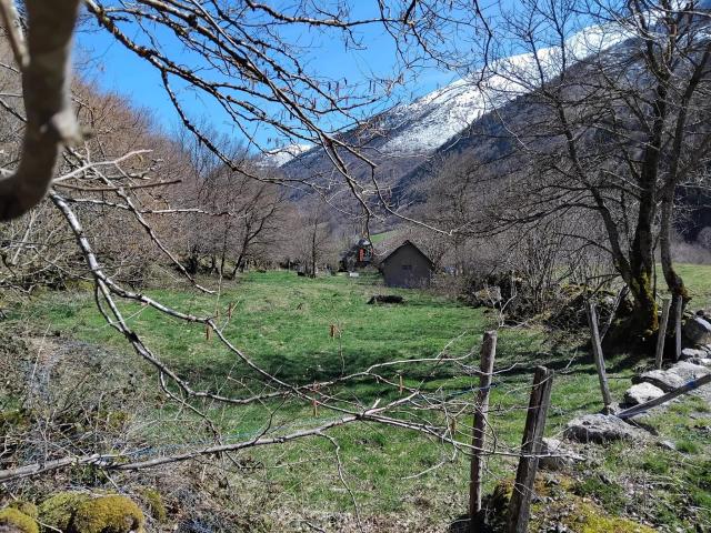 Maison vente à Argelès-Gazost, Estaing