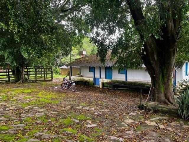 Sítio e chácara venda em Região Geográfica Imediata de Luziânia, Região Integrada de Desenvolvimento do Distrito Federal e Entorno