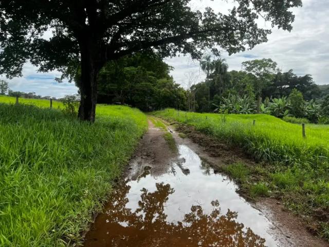Fazenda venda em Região Geográfica Imediata de Luziânia, Região Integrada de Desenvolvimento do Distrito Federal e Entorno