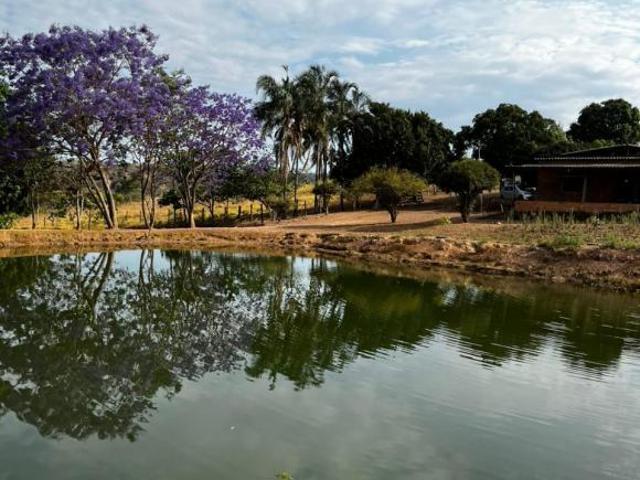 Sítio e chácara venda em Região Geográfica Imediata de Luziânia, Região Integrada de Desenvolvimento do Distrito Federal e Entorno