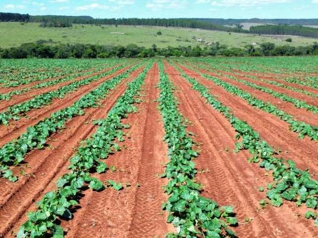 Sítio e chácara venda em SHIS, Luziânia