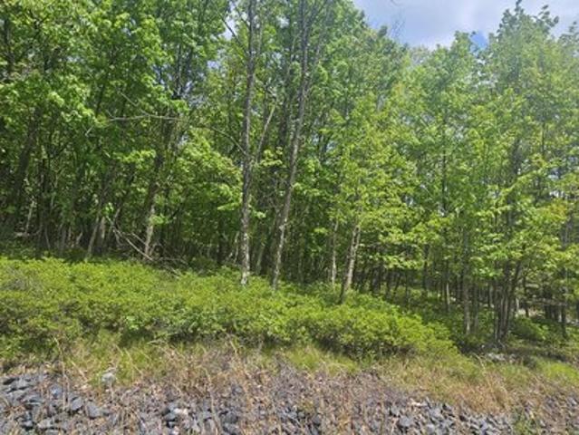 Land for sale in Harleigh, Pennsylvania