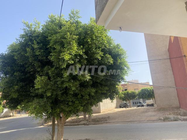 Propriété vente à Berkane