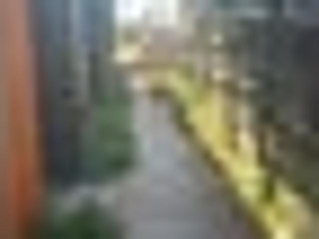 Apartment for rent in Matata, Wellington