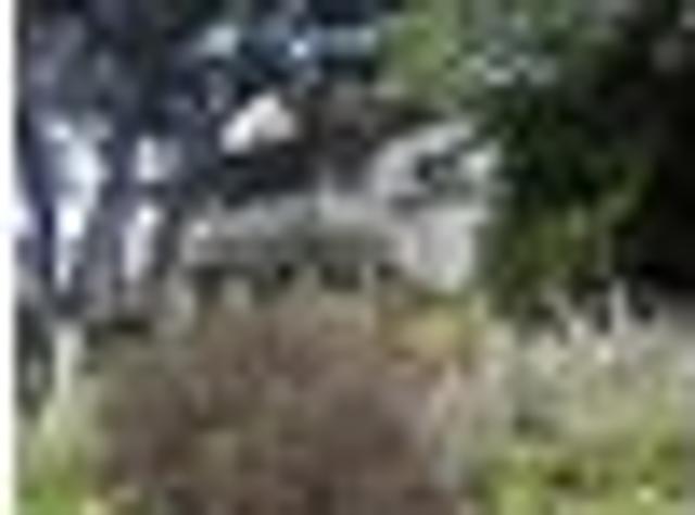 House for rent in Matata, Wellington