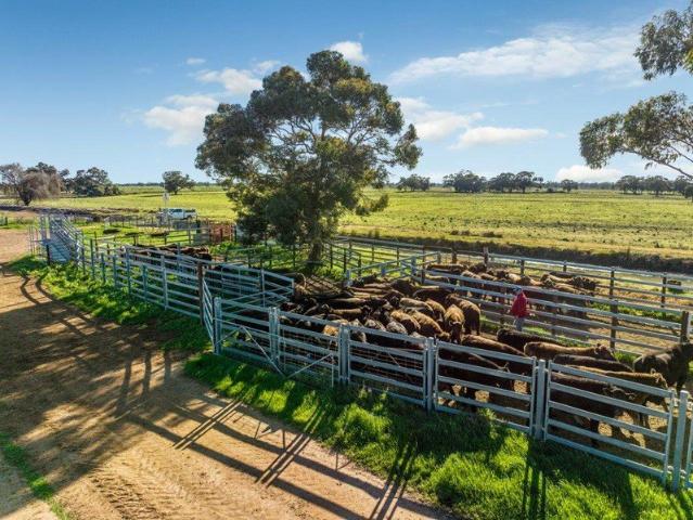 Cottage for sale in Burraboi, New South Wales