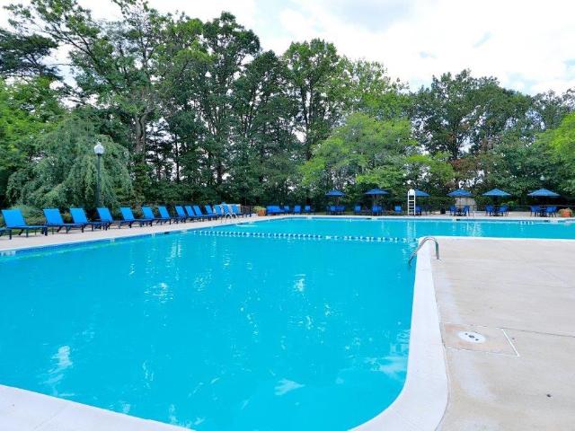 Apartment for rent in Alexandria, Virginia