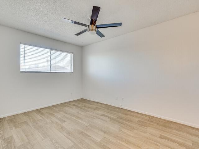 Apartment for rent in Tempe, Arizona