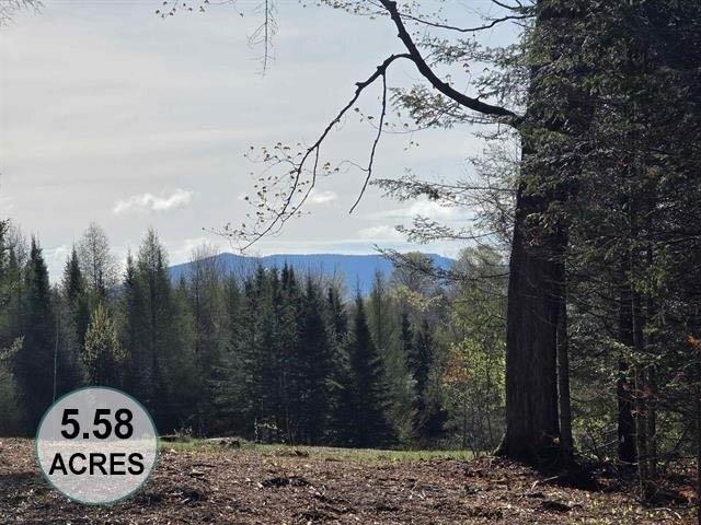 Land for sale in Lyndon, Vermont