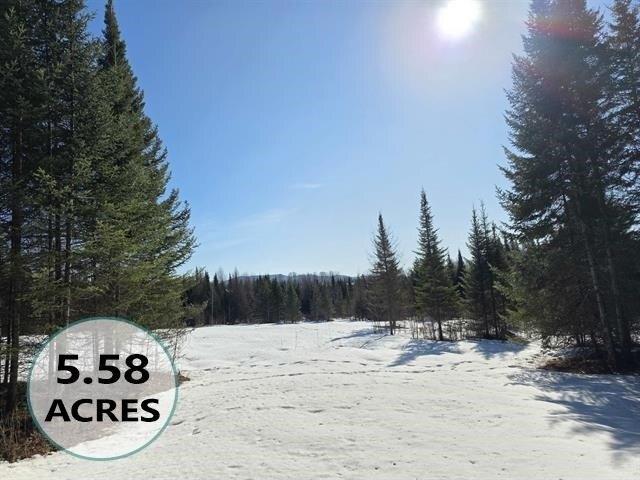 Land for sale in Lyndon, Vermont