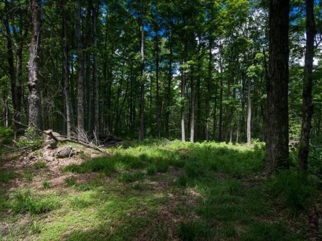Land for sale in Hampden, Massachusetts