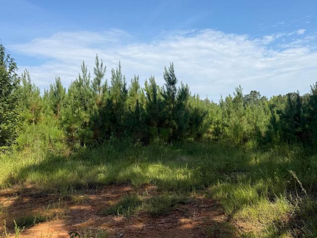Land for sale in York, Sumter County