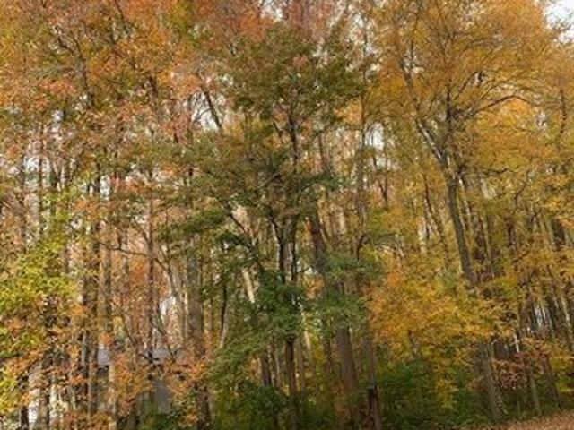 Land for sale in Delaware