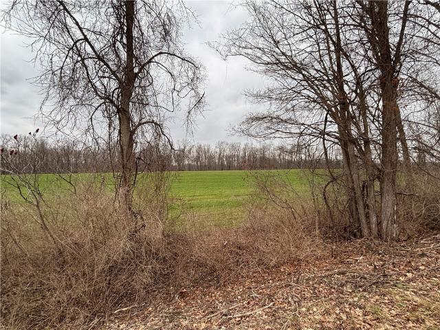Land for sale in Palmyra, New York