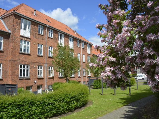 Lejlighed til leje i Fredericia