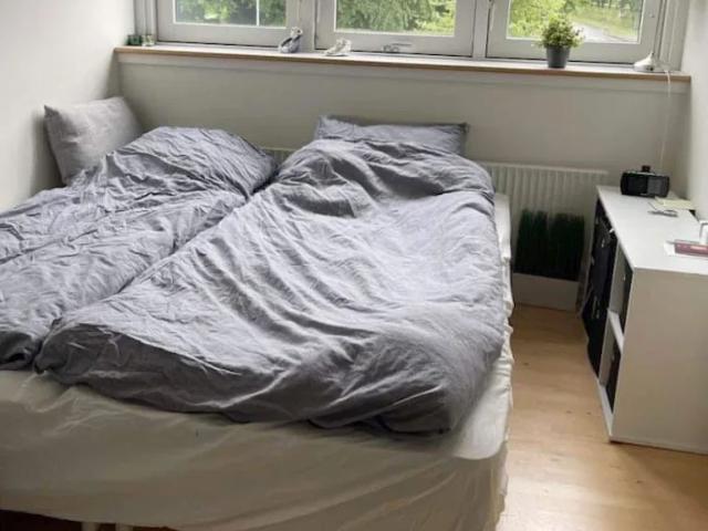 Lejlighed til leje i Odense