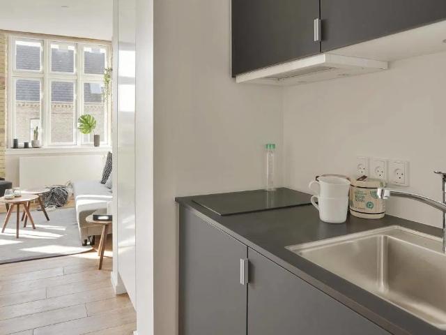 Ejendom til leje i Frederiksberg, Frederiksberg Kommune