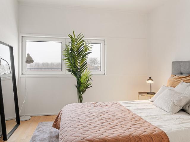 Lejlighed til leje i Aalborg, Brønderslev-Dronninglund