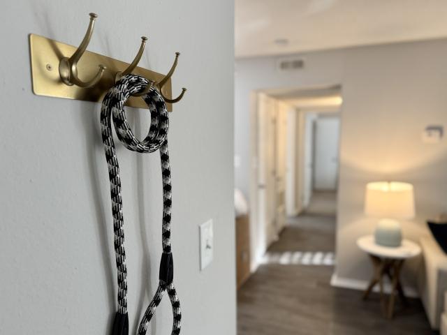 Apartment for rent in Wake, North Carolina