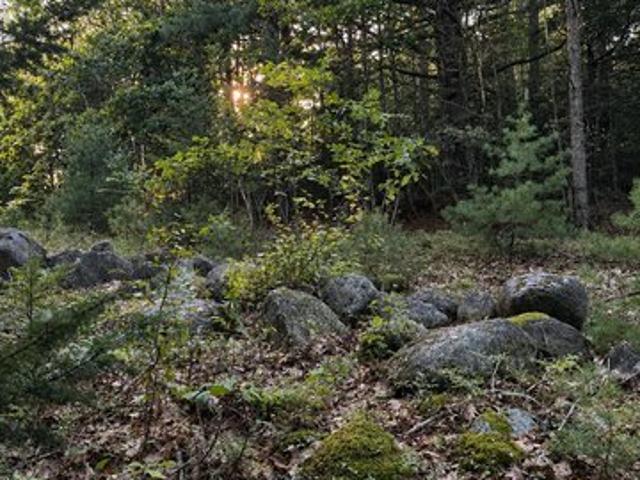 Land for sale in Franklin, Maine