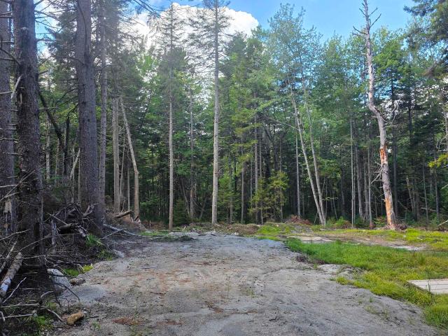 Land for sale in Washington, Sullivan County