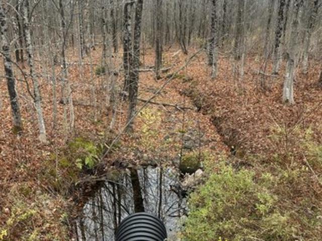 Land for sale in Pittsfield, Maine