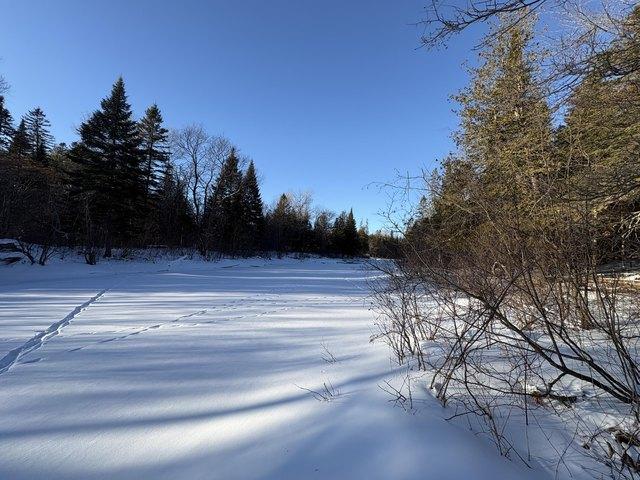 Land for sale in Oakfield, Maine