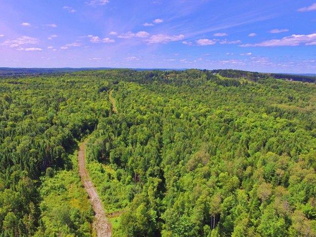 Land for sale in New Sweden, Maine