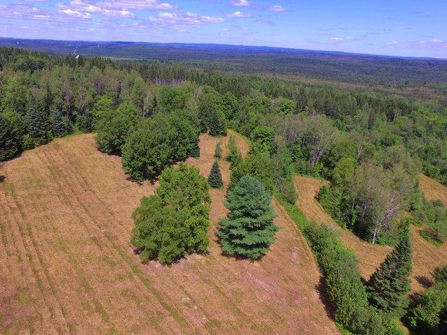Land for sale in New Sweden, Aroostook County