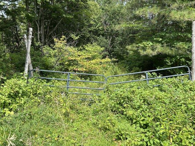 Land for sale in New Sweden, Aroostook County