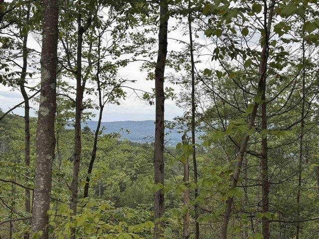 Land for sale in New Hampshire