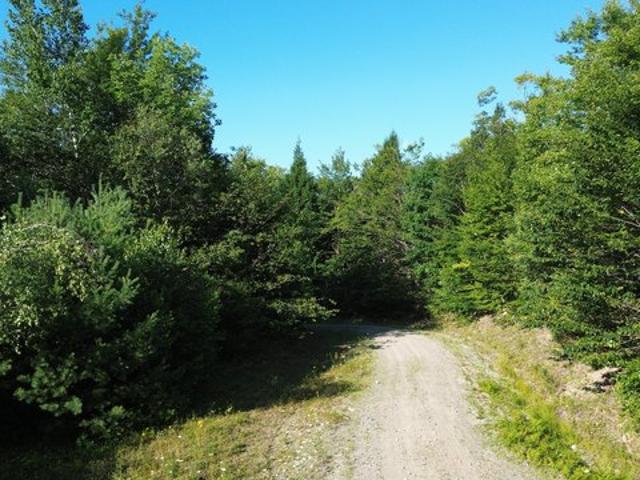 Land for sale in Fairfield, Maine