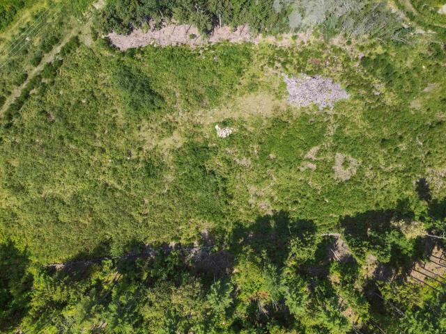 Land for sale in New Hampshire