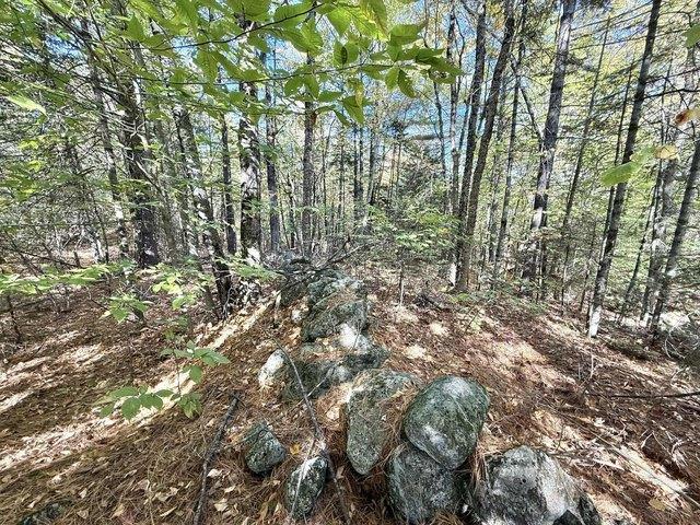 Land for sale in Maine