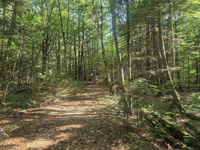 Land for sale in New Hampshire
