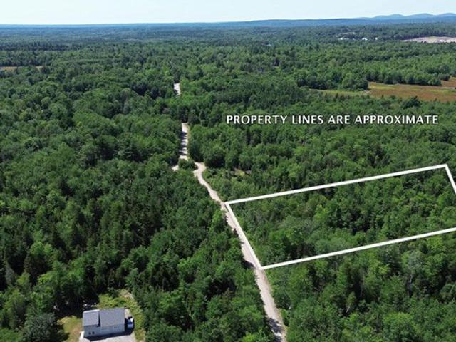 Land for sale in Hancock, Maine
