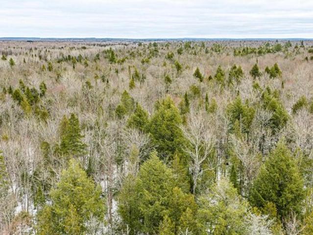 Land for sale in Ewen, Michigan