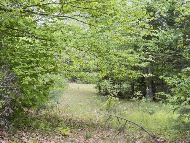 Land for sale in Palmyra, Maine
