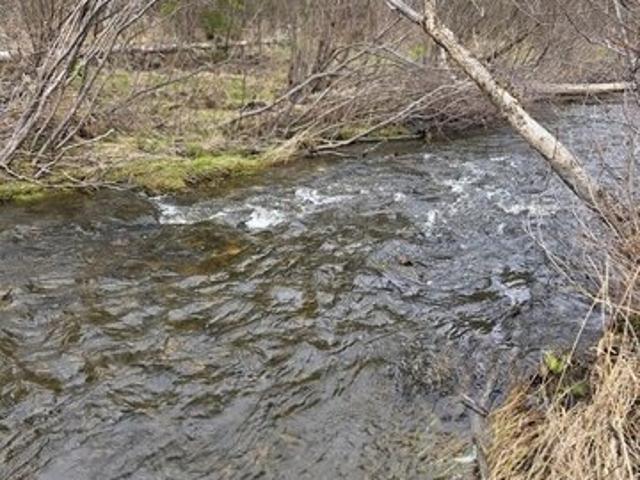 Land for sale in Madawaska, Maine