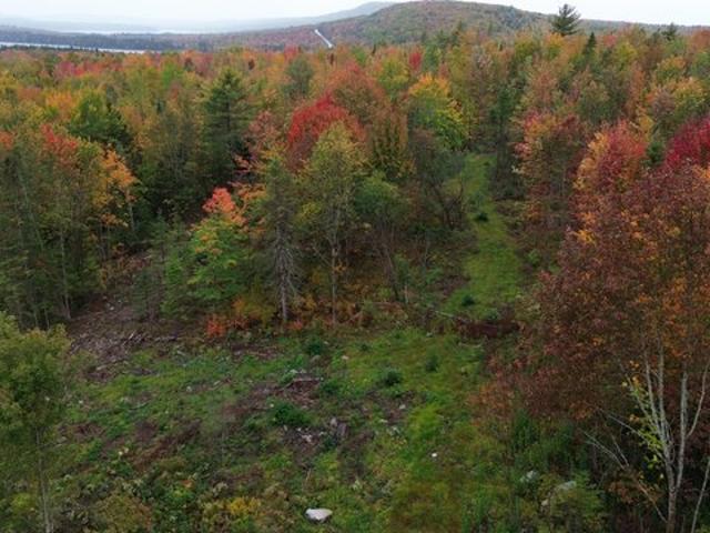 Land for sale in Orient, Aroostook County