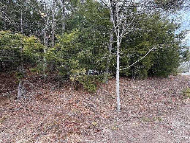 Land for sale in Newfield, Maine