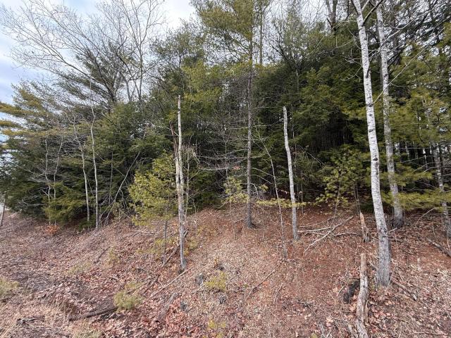 Land for sale in Newfield, Maine