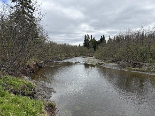 Land for sale in Van Buren, Maine