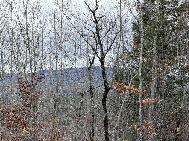 Land for sale in Abbot, Maine