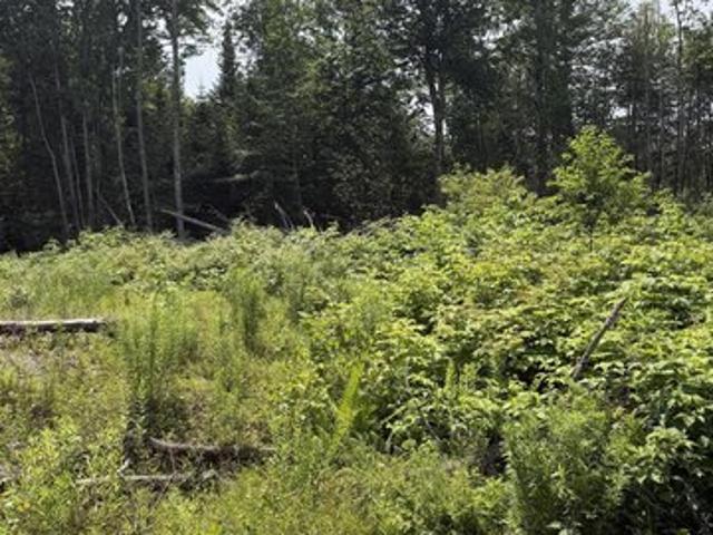 Land for sale in Corinth, Maine